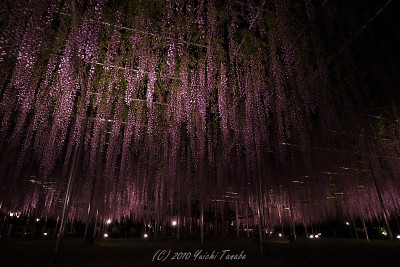 100513192401__DSC3074