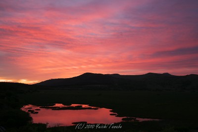 100624041728__DSC3288