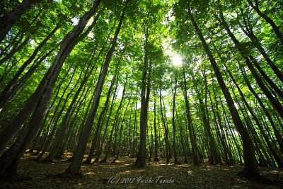 120524082614__DSC1530