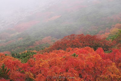 121003104038__DSC2218