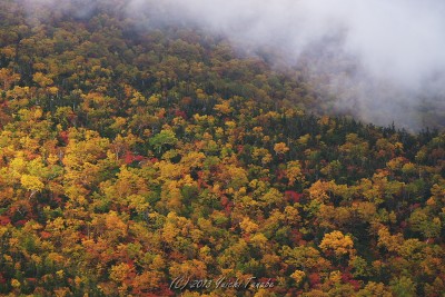 121003141502__DSC2360 121003141502__DSC2360